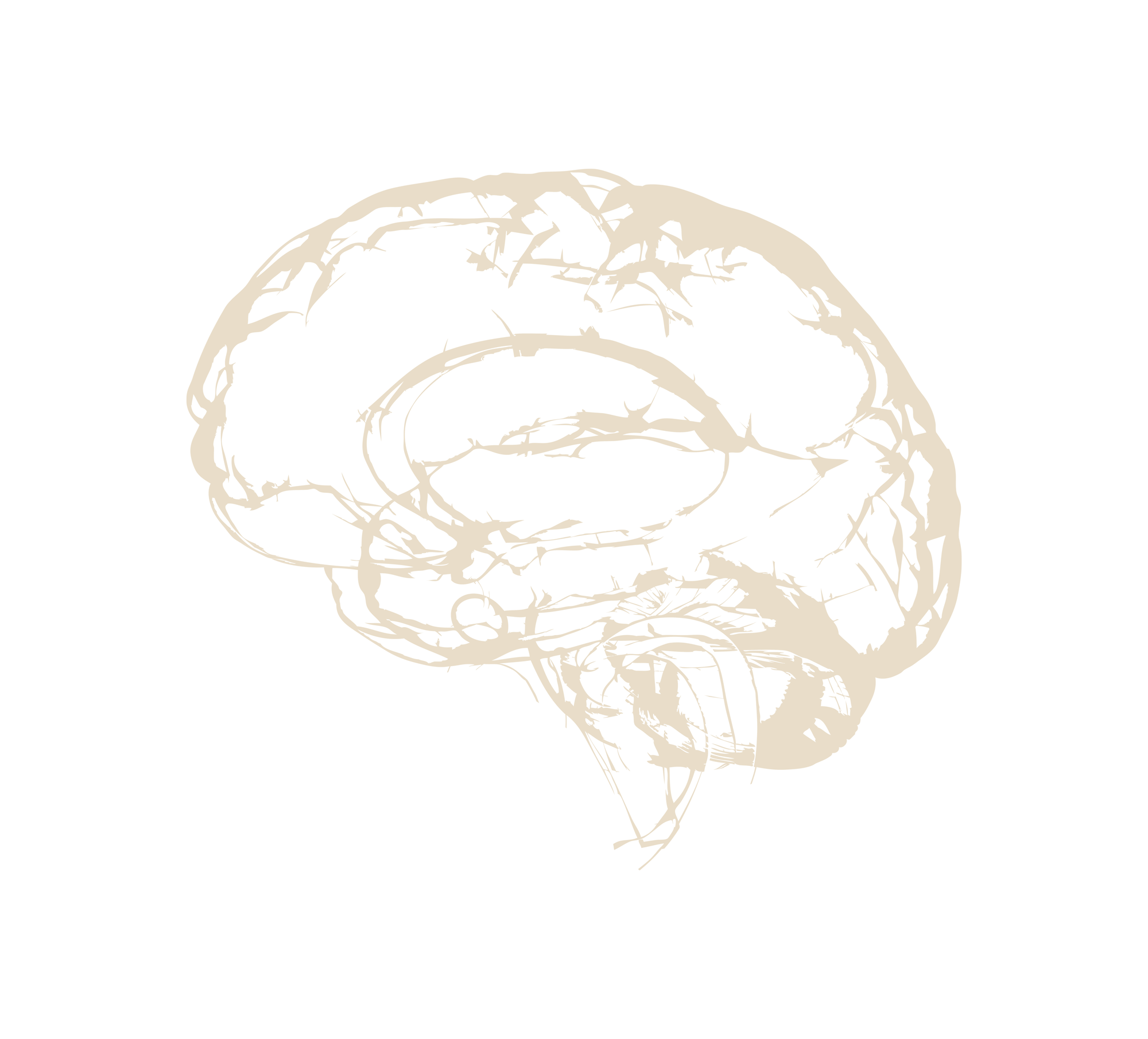 Brain-GOLD-transparent.png__PID:5a235645-9b90-47aa-a64c-b4f260504bc6
